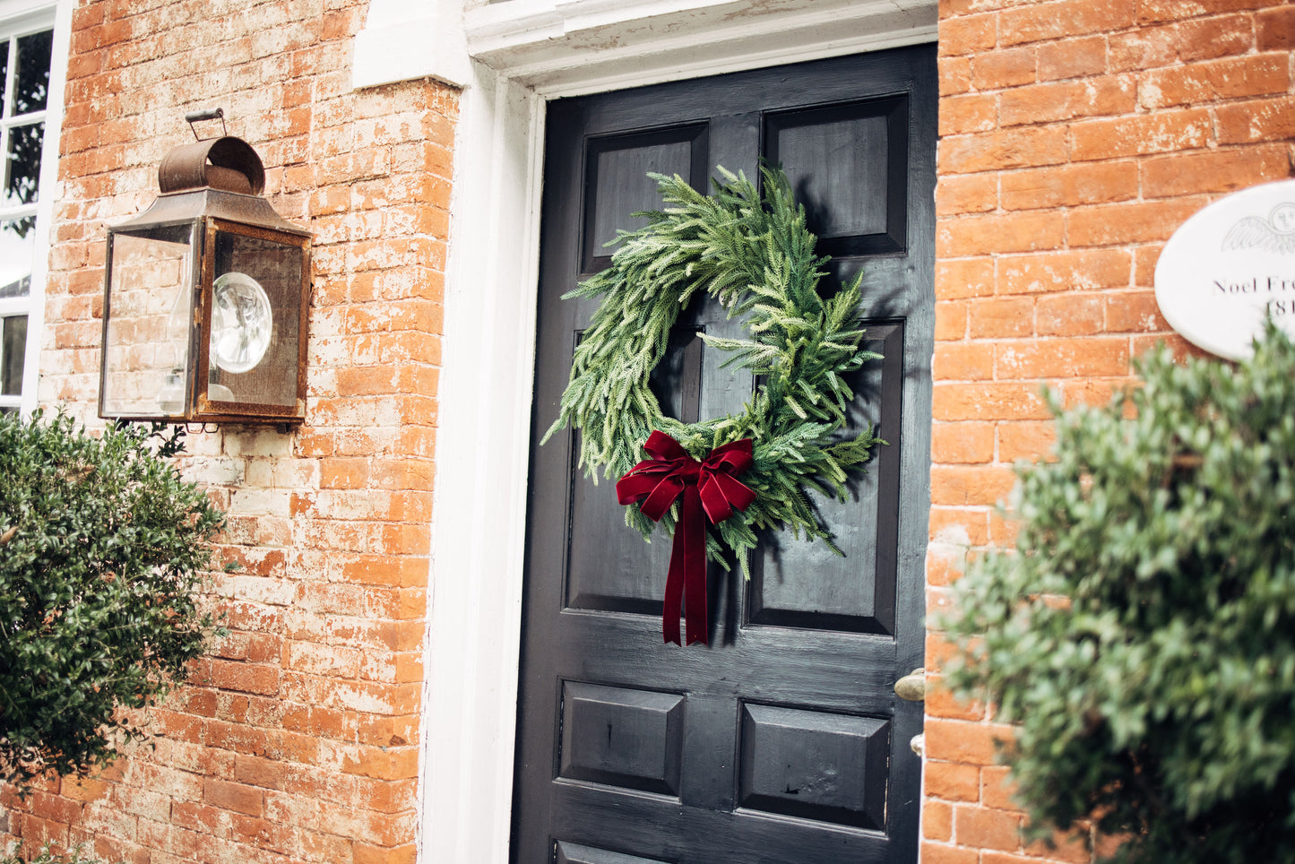 Faux Norfolk Pine Wreath with Velvet Bow (6 color options)